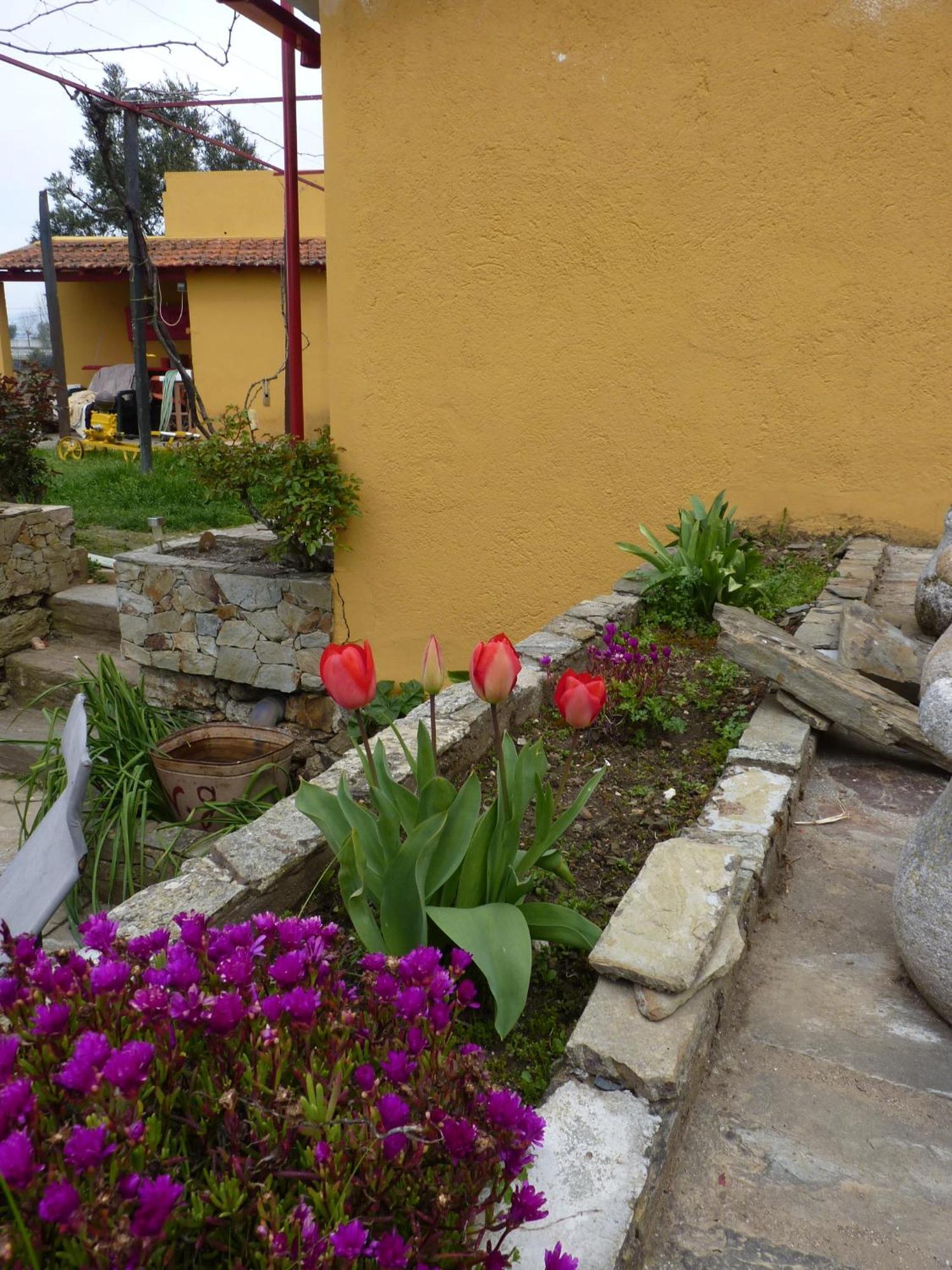Hotel Casa Da Vinha Grande Poiares Exterior foto