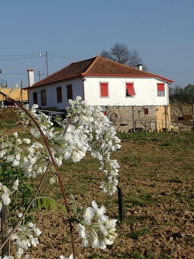 Hotel Casa Da Vinha Grande Poiares Exterior foto